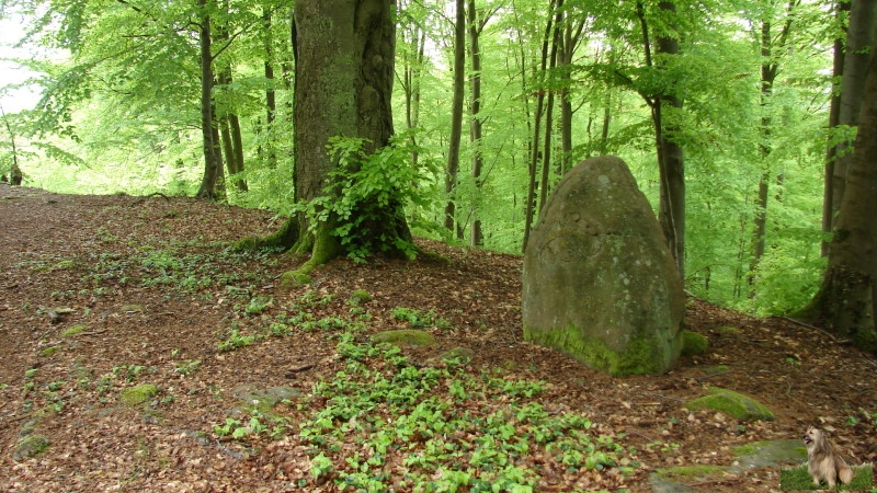 Ritterstein Nr. 262-3 Wilhelm Merkel Hütte.JPG - Ritterstein Nr.262 Wilhelm Merkel Hütte